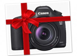 5d gift wrapped
