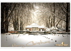 midwinter