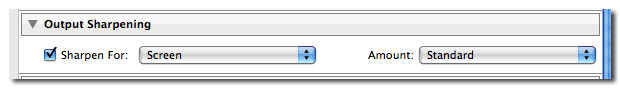 export dialoge box