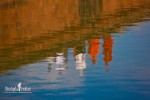 February's Wallpaper – Angkor Wat