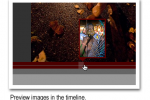 Thaipusam Multi-Media Gallery