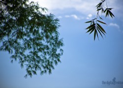june_09wallpaper