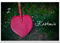 I Heart Kashmir