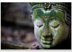 f/1.2, 1/125 sec, at 85mm, 100 ISO, on a Canon EOS 5D Mark II