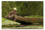 Teaching Others to Fish