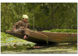 fisherman