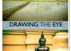 Drawing The Eye