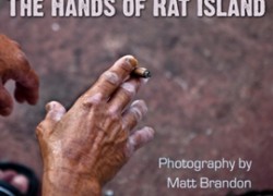 rat