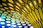 Adu Dhabi Do