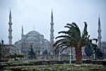 The Blue Mosque & The Ayasofya