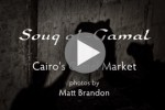 Multimedia: The Camel Market of Cairo