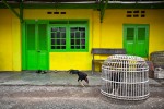 South Sumatra #2