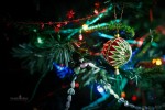 Wallpaper: December 2010