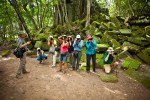 Angkor Photo Workshop